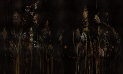 Fototapet WallArt natura - Calamus