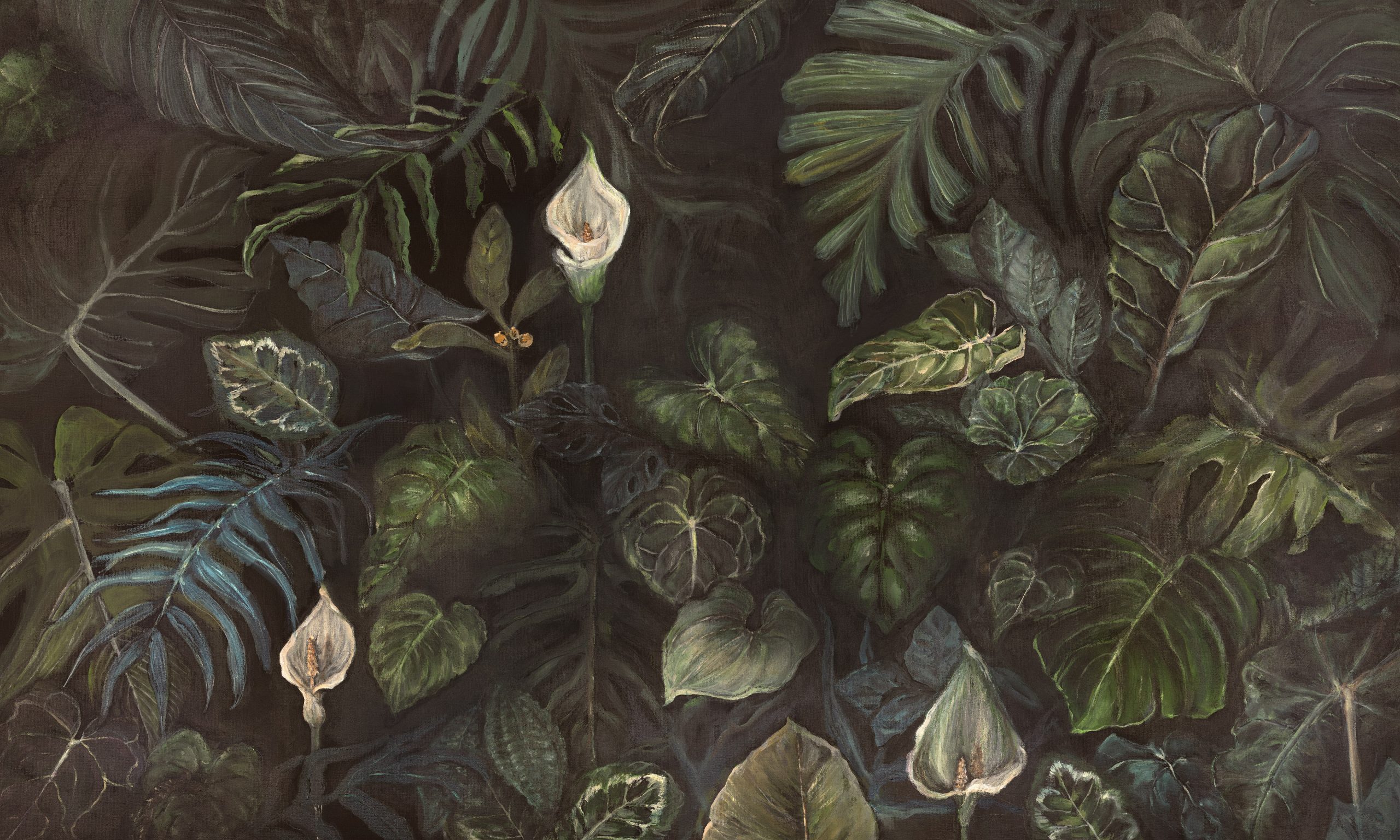 Calla 500x300cm Fototapet WallArt plante cala - Calla - imagine 1