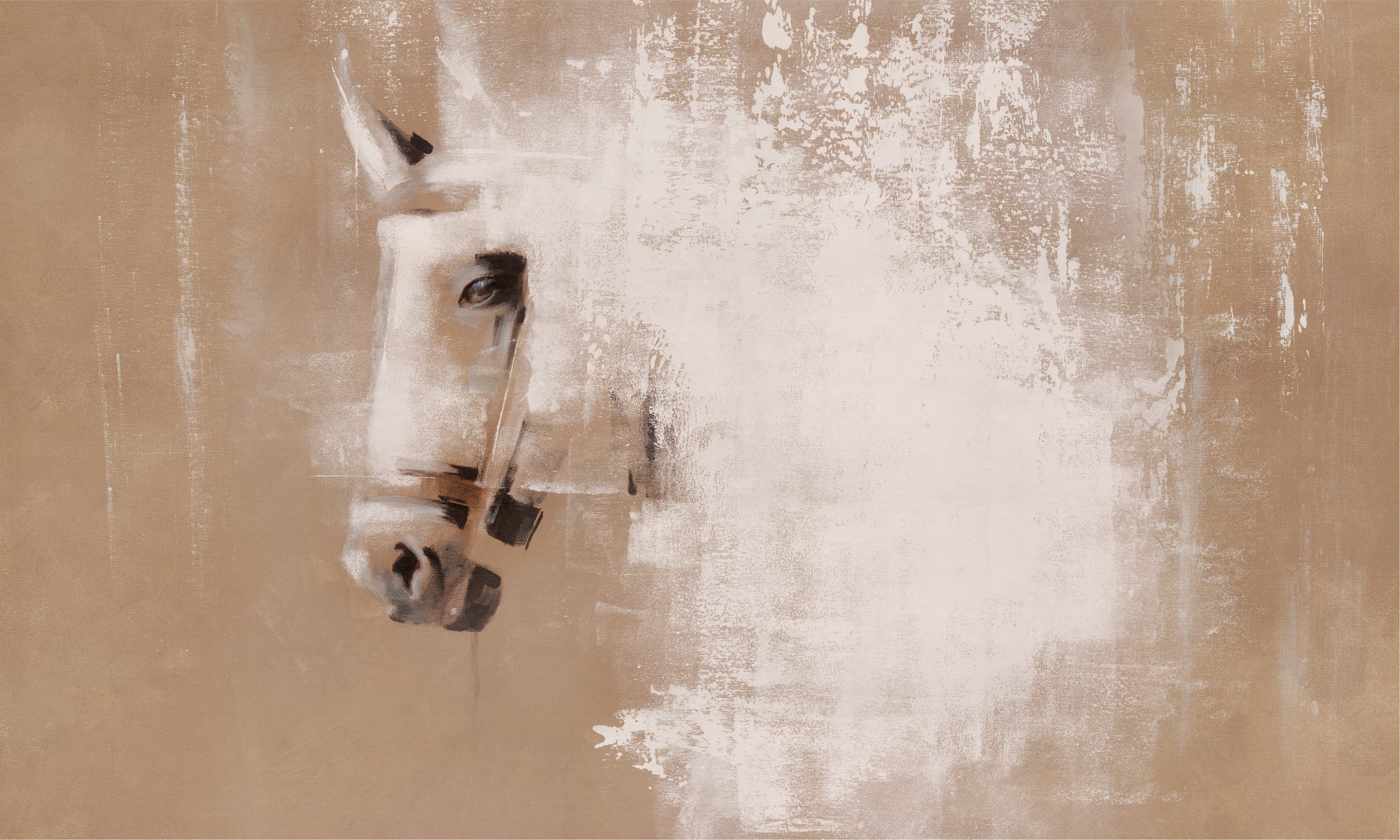 Cavallo_textura_5000x3000 Fototapet WallArt cal - Cavallo - imagine 1