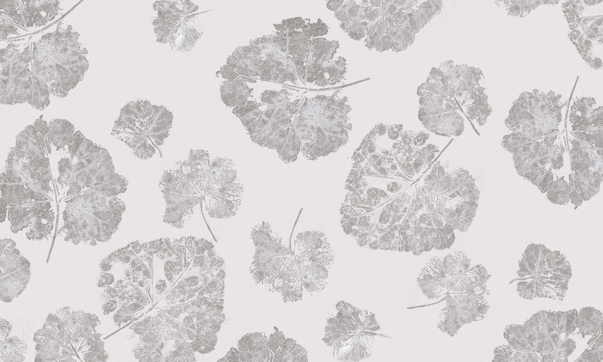 Foglia Dust_textura_5000x3000 Fototapet WallArt frunze - Foglia Dust - imagine 1