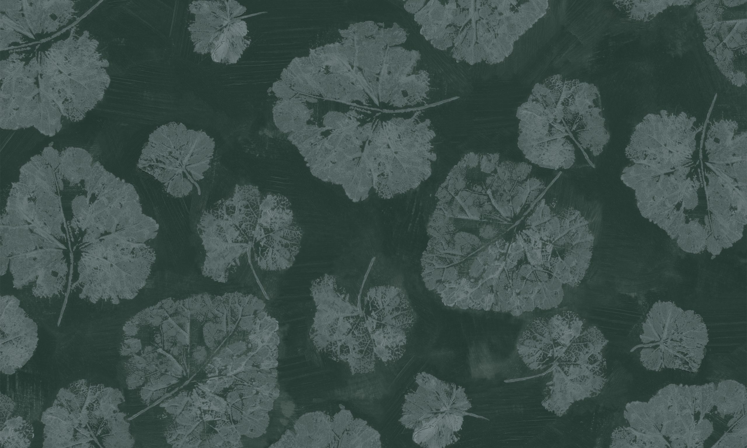 Foglia Sage_textura_5000x3000 Fototapet WallArt frunze - Foglia Sage - imagine 1
