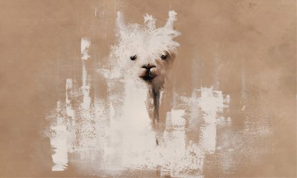 Fototapet WallArt - Lama