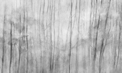 Fototapet WallArt padure - Mori Grey