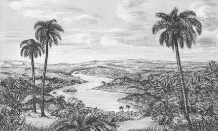 Fototapet WallArt rau si palmieri alb negru - Palm