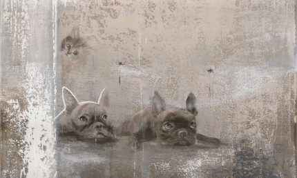 Fototapet WallArt catei - Siesta