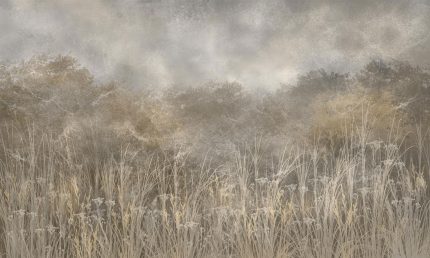 Fototapet WallArt natura - Tatarac