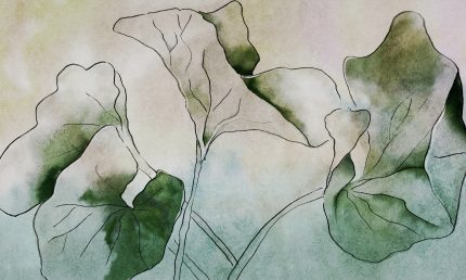 Fototapet WallArt frunze - Hasu