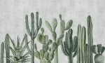 Fototapet Atacama Cactus II