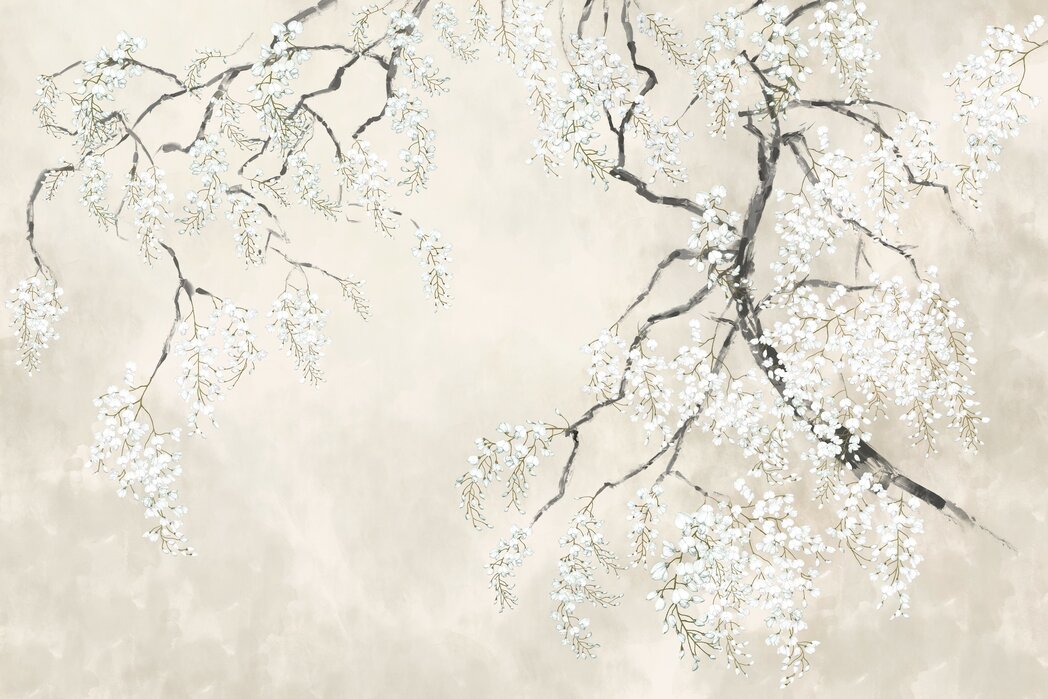 blossom-wisteria-beige Fototapet Glicină înflorită - Gri - imagine 1
