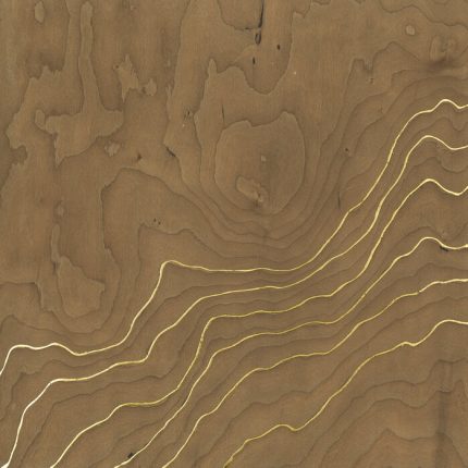 Fototapet Furnir Auriu