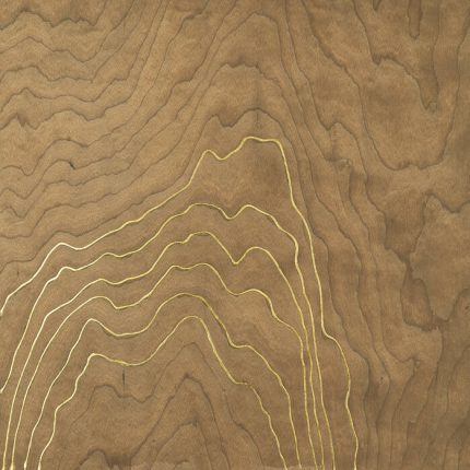 Fototapet Furnir Auriu II