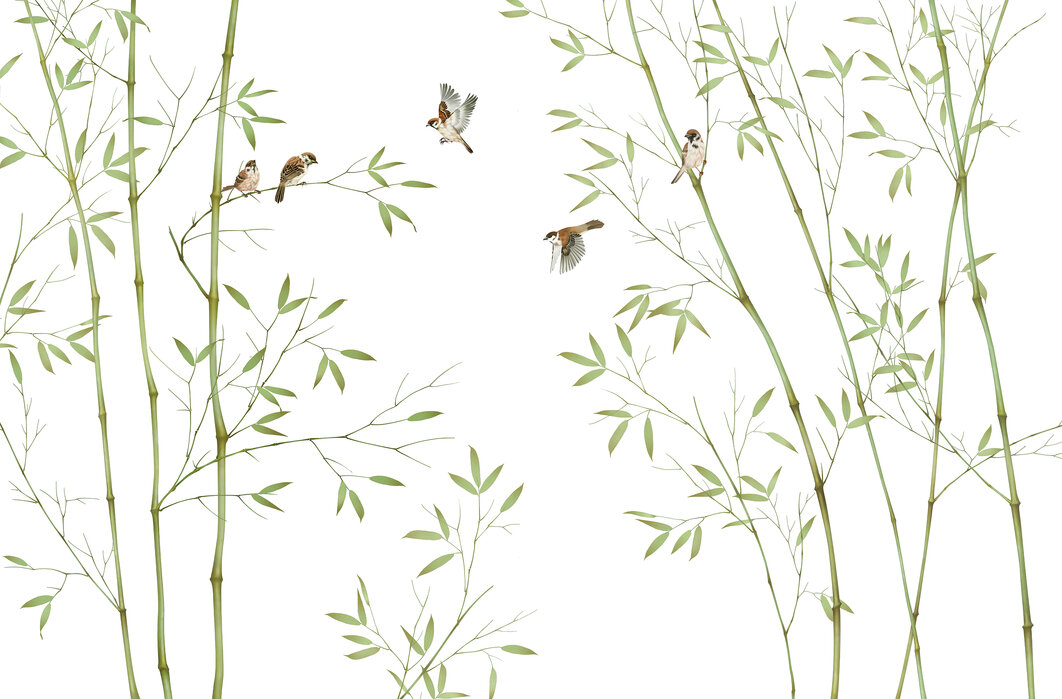 bamboo-birds Fototapet Păsări de Bambus - imagine 1