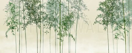 Fototapet Vedere Copaci de Bambus - Verde