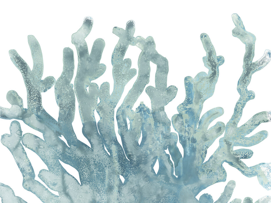 blue-macro-coral-iii Fototapet Coral Macro Albastru III - imagine 1