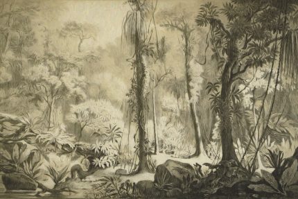 Fototapet Adânc în pădurea tropicală