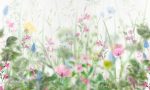 Fototapet Pajiște florală delicată