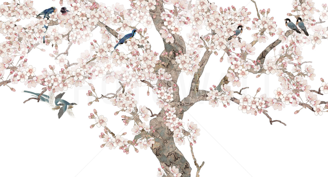doux-birds-home Fototapet Casă blândă pentru păsări - imagine 1