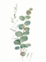 Fototapet Verdețuri III