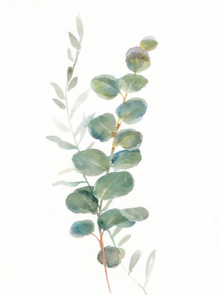 Fototapet Verdețuri III