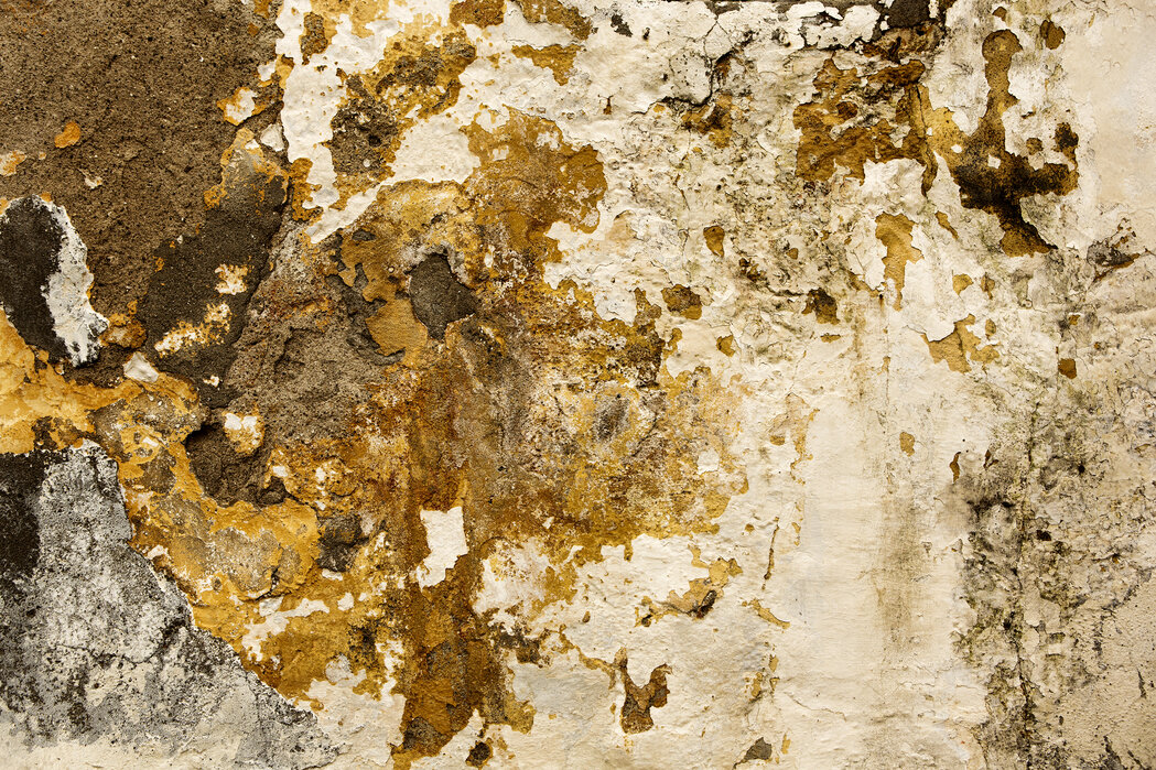 grunge-wall-ii Fototapet Perete Grunge II - imagine 1