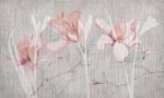Fototapet Magnolia Chatoyer