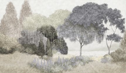 Fototapet Luncă Matinală - Lumină