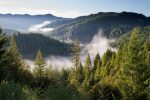 Fototapet Vedere montană