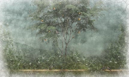 Fototapet Perete Vechi Franjurat Vopsit II