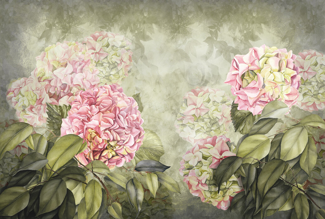 pink-hortensia Fototapet Hortensie Roz - imagine 1
