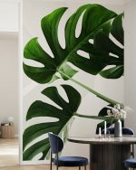 Fototapet Frunze de Monstera - imagine 4