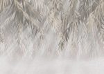 Fototapet Strălucire tropicală III