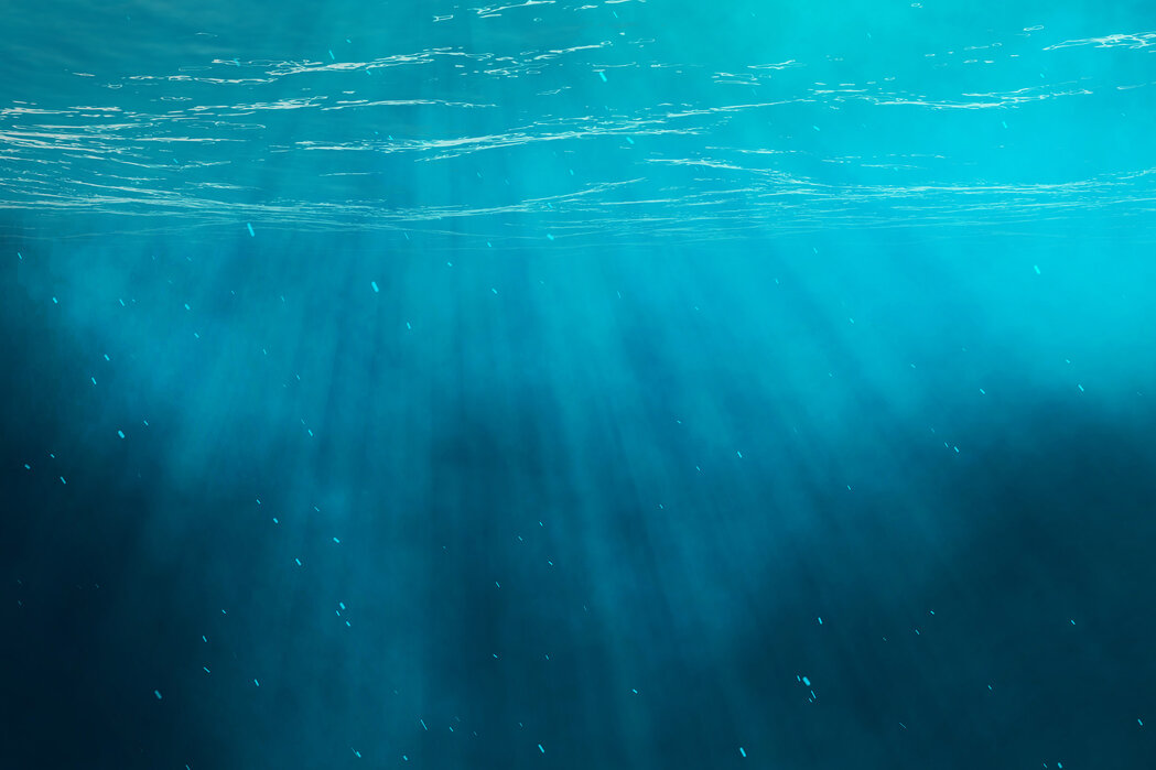 underwater Fototapet Subacvatic - imagine 1