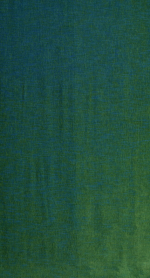 Draperie Pierre R189/11 - imagine 3