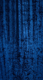 Draperie Pierre R189/10 - imagine 3